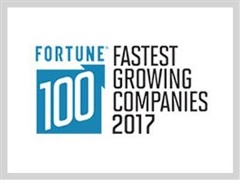Fastest Growing Companies 2017